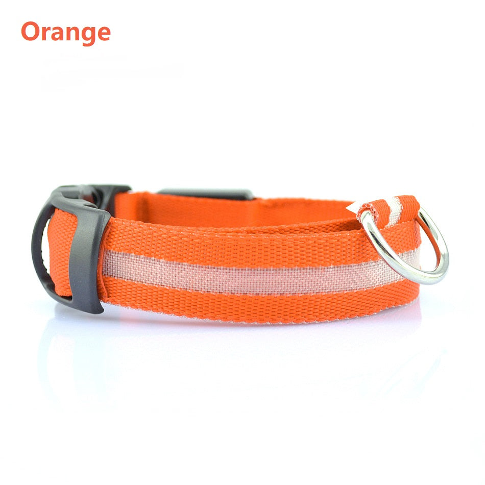 Ultimate Night Safety Dog Collar – Bright LED Light Up!