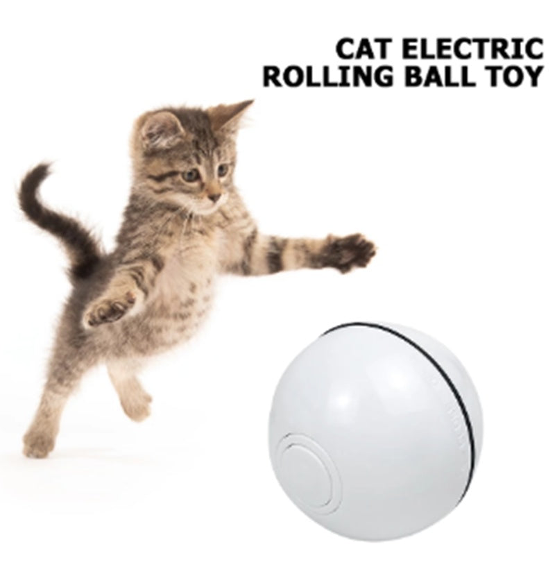 Purrfect LED Laser Cat Toy for Active Cats