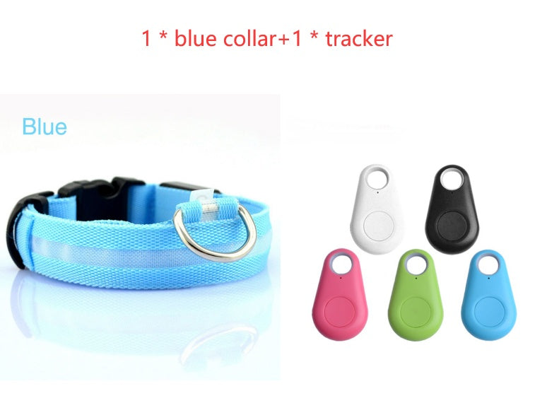 Ultimate Night Safety Dog Collar – Bright LED Light Up!