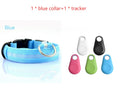 Ultimate Night Safety Dog Collar – Bright LED Light Up!