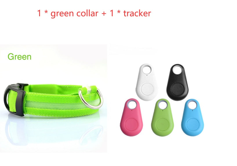 Ultimate Night Safety Dog Collar – Bright LED Light Up!