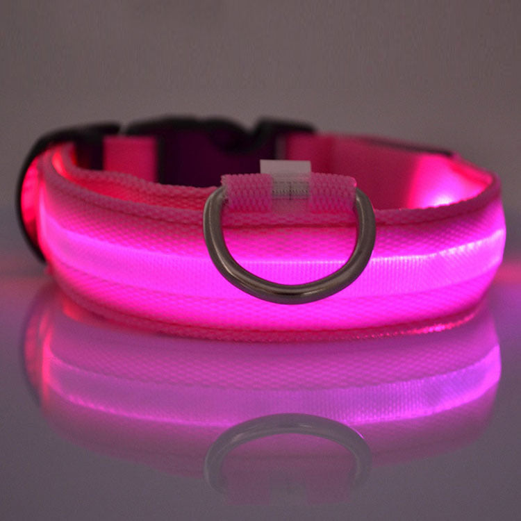 Ultimate Night Safety Dog Collar – Bright LED Light Up!