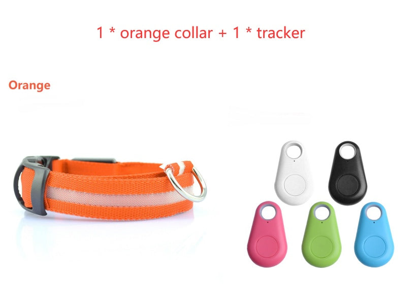 Ultimate Night Safety Dog Collar – Bright LED Light Up!