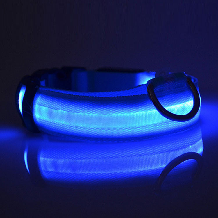 Ultimate Night Safety Dog Collar – Bright LED Light Up!