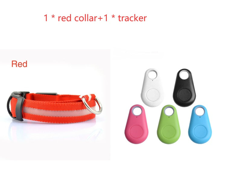 Ultimate Night Safety Dog Collar – Bright LED Light Up!