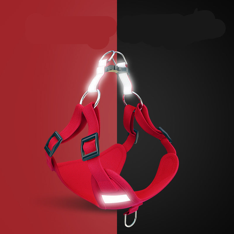 Glow Reflective Dog Harness Set – Be Seen, Be Safe!