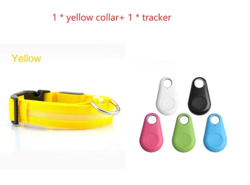 Ultimate Night Safety Dog Collar – Bright LED Light Up!