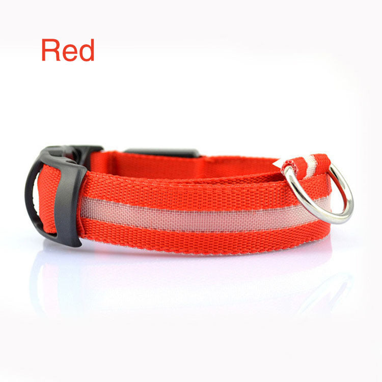 Ultimate Night Safety Dog Collar – Bright LED Light Up!