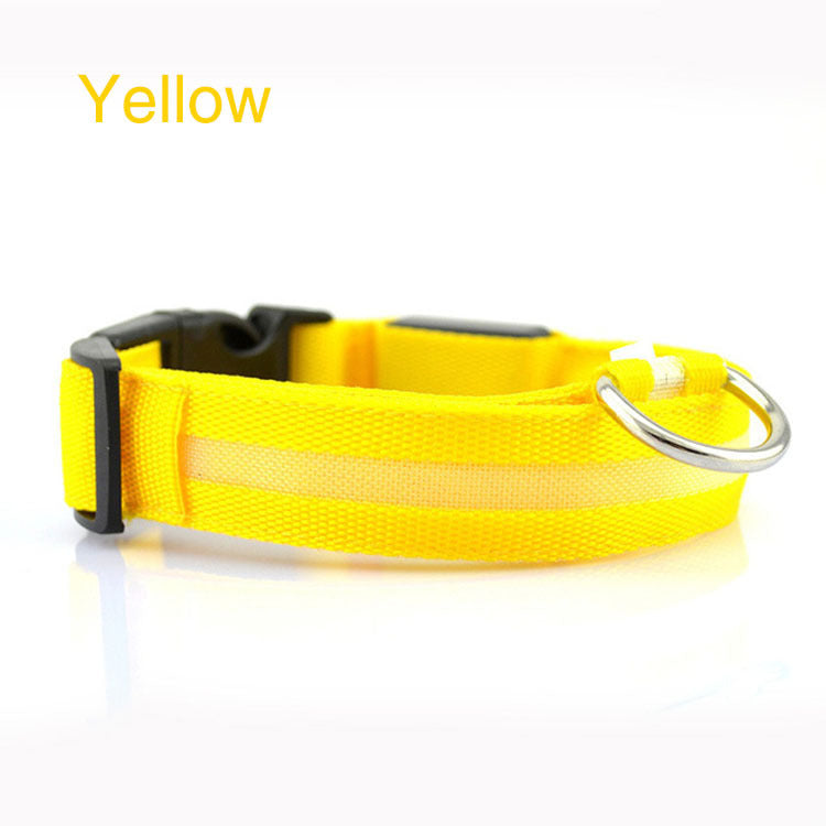 Ultimate Night Safety Dog Collar – Bright LED Light Up!