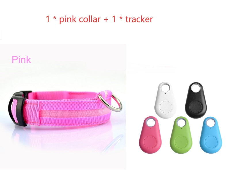 Ultimate Night Safety Dog Collar – Bright LED Light Up!