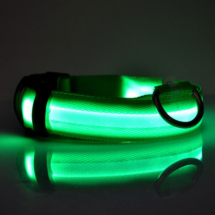 Ultimate Night Safety Dog Collar – Bright LED Light Up!