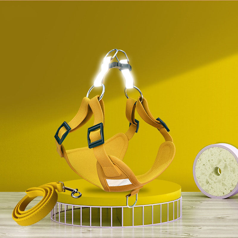 Glow Reflective Dog Harness Set – Be Seen, Be Safe!