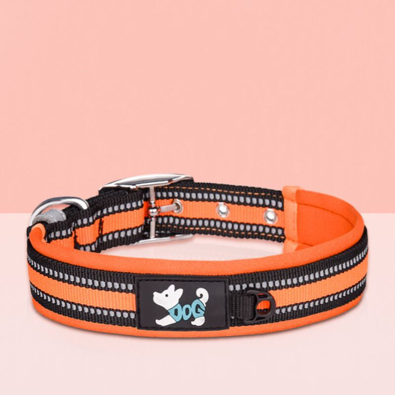 High‑Visibility Nylon Dog Collar Set – Secure & Stylish!